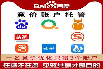 百度推广公司的成功案例：如何实现广告投资回报最大化